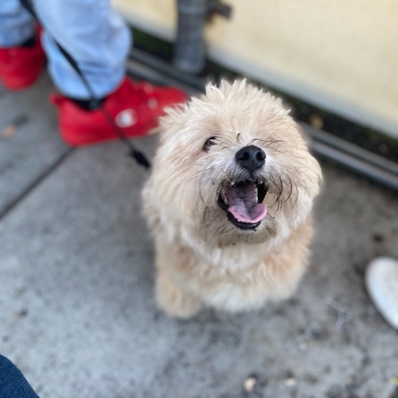 Meet your Posher, Alejandra - Picture 8 of 9